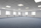 Downsideskylights-3.jpg; ?>